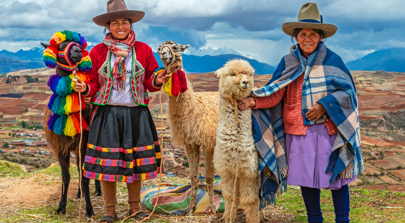 Learn about the bonds between the Indigenous people and their Alpacas